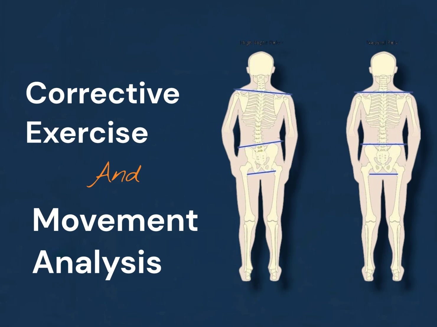 Corrective Exercise&amp; Movement Analysis Specialist 