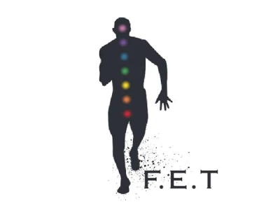 Anatomy