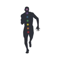Personal Trainer Level 3 Image